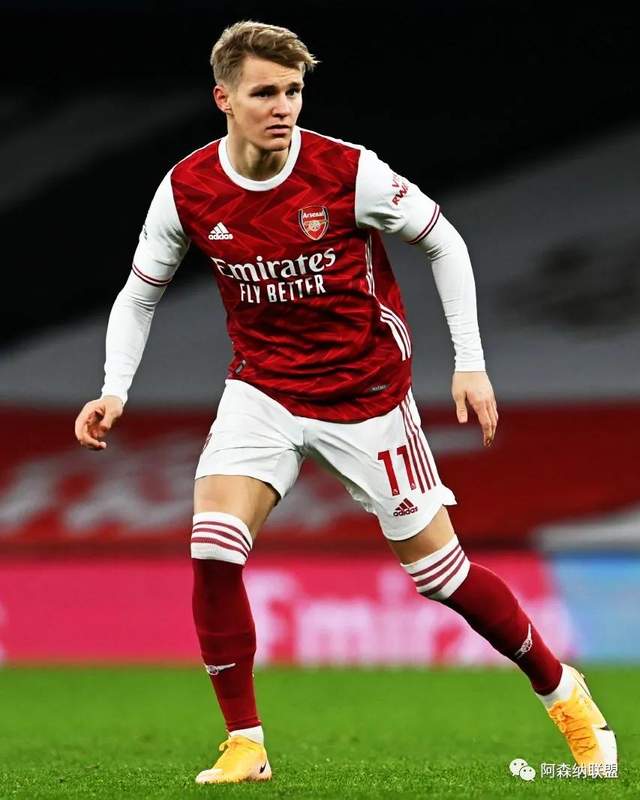 应自我保护 应自我保护